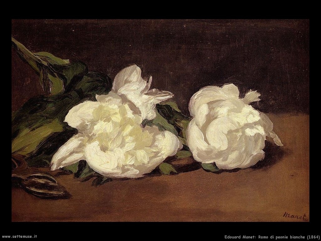 Edouard Manet, Ramo di Peonie bianche, 1864