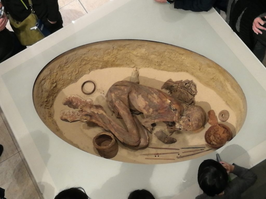 La Mummia più antica, Museo Egizio, Torino